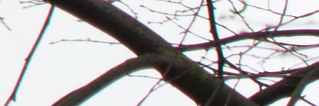 Canon PowerShot G1 X Mark II: významné zlepšení