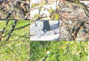 Panasonic Lumix S 24-105mm F4 Macro O.I.S.