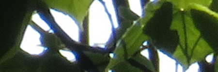 Canon PowerShot SX720 HS: kapesní šmírování