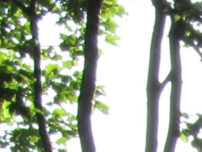 Canon IXUS 300 HS: superstylovka i pro náročné