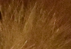 Nikon D5300: bezdrátový DSLR turista