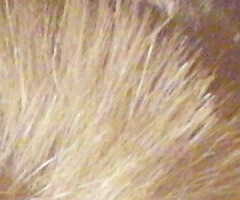 Samsung EX1: příjemné překvapení