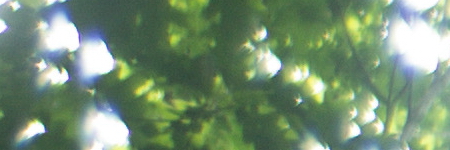 Canon FL 35mm 1:2.5 (FL/FD)