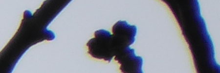 Panasonic Lumix TZ70: krůček k profi ultrazoomu