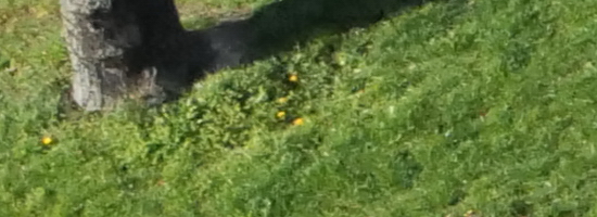 Panasonic Lumix S1R: sebevědomý vstup do FF