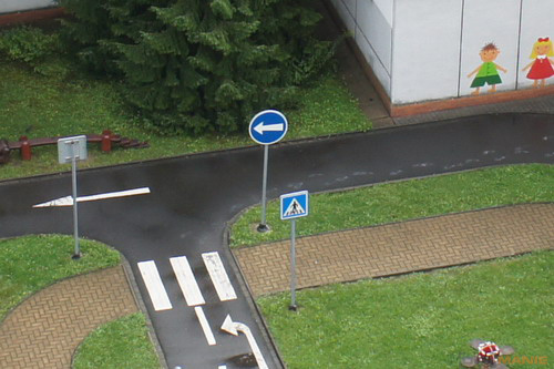 Fotíme s Koalou: Zoom a perspektiva