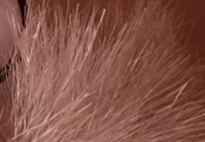 Fujifilm X-M1: našlapaná stylovka