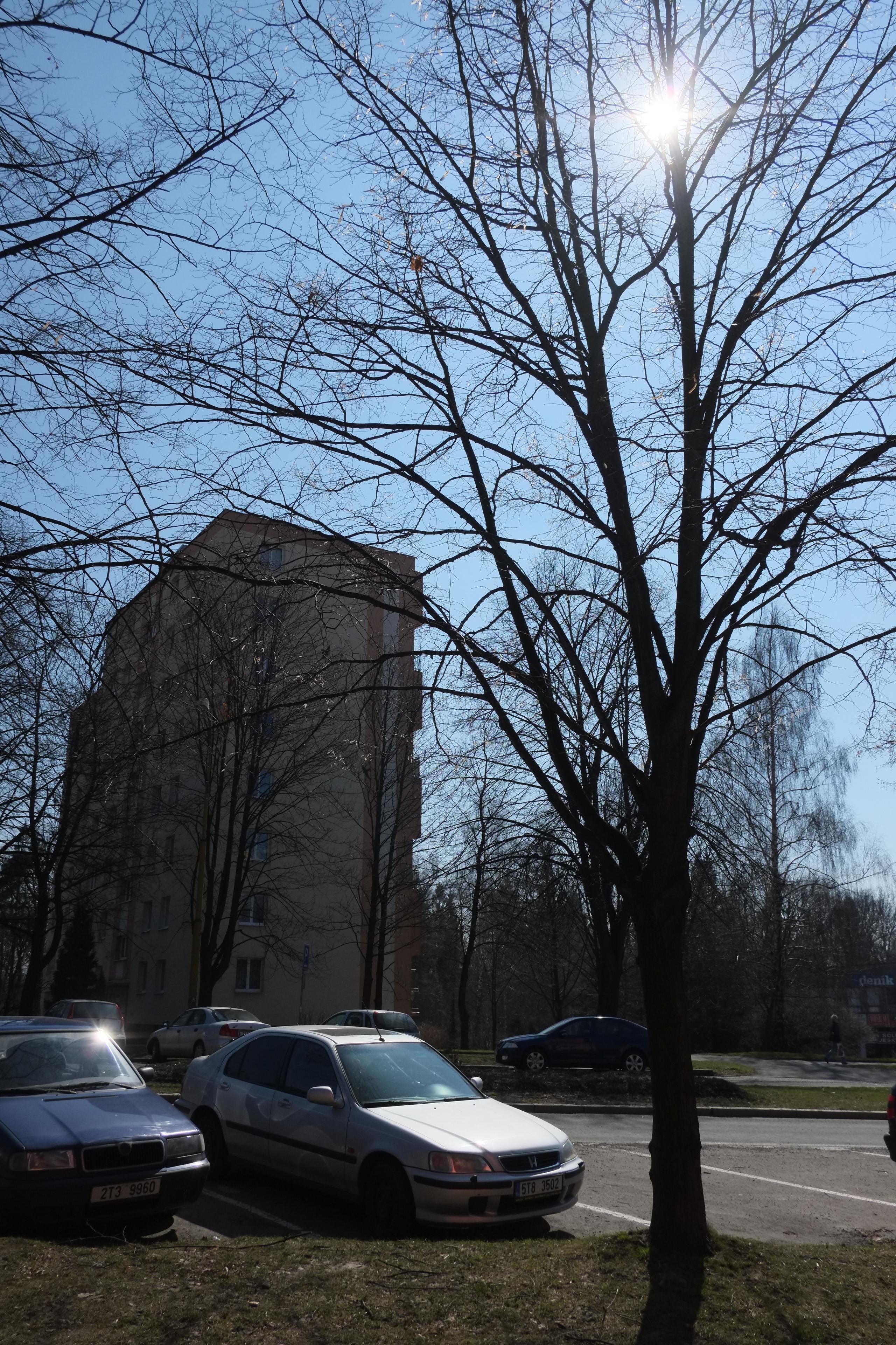 Fujinon XF 18mm f/2R