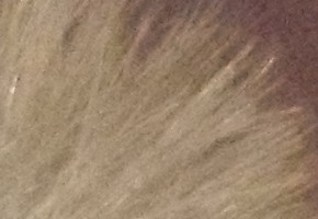 Samsung MV800: pro každý úhel i autoportréty