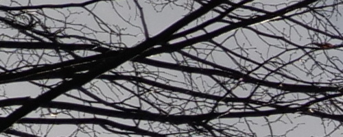 Panasonic Leica DG Vario-Summilux 10-25mm F1.7 ASPH.