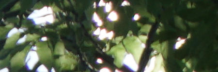 Sony E PZ 18-105mm F4 G OSS (SELP18105G)