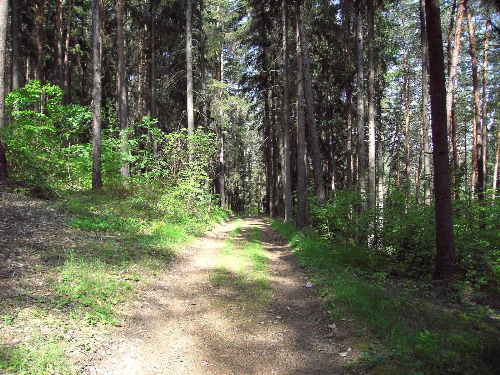 Konica Minolta Dimage E50 - pro každého něco...