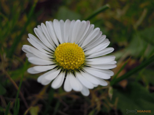 Nikon Coolpix S5100: krok vpřed