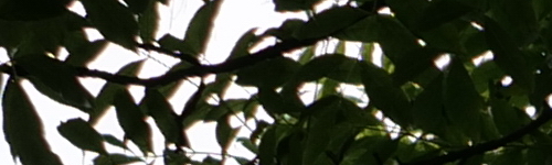 Panasonic Lumix S Pro 70-200mm F4 O.I.S.