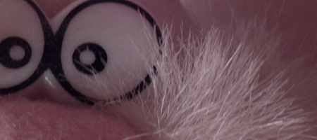 Nokia Lumia 1020 vs. 808 PureView