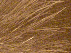 Olympus PEN E-PL2: PEN počtvrté a zase lépe