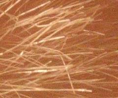 Canon EOS 500D: povedený pokračovatel rodu