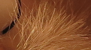 Canon PowerShot G1 X Mark II: významné zlepšení