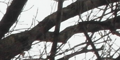 Samsung EX2F: významný krok vpřed