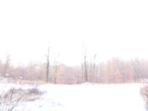 Panasonic Lumix LX7: kompaktní hvězda noci