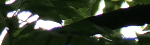 Panasonic Lumix S Pro 70-200mm F4 O.I.S.