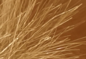 Sony NEX-5R: fázový posun k lepšímu?