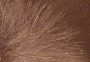 Panasonic Lumix FZ72: nejširší i nejdelší