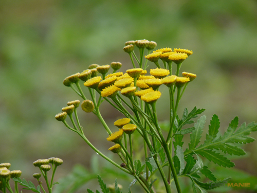 Panasonic Lumix FZ28: o krok blíže dokonalosti