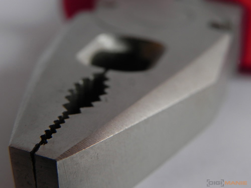 Nikon Coolpix P100: nejrychlejší ultrazoom