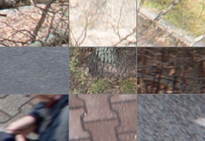 Panasonic Lumix S 50mm F1.8