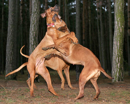 Fotografický blesk na cestě časem – 3. díl