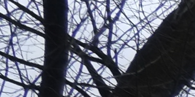 Fujinon XF 18mm f/2R