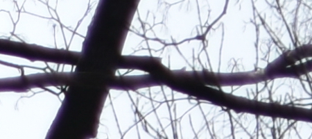 Nikon AF-S DX NIKKOR 35mm f/1.8G