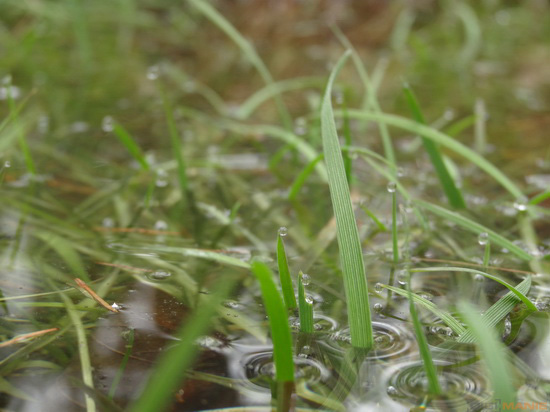 Sony Cyber-shot HX20V: umí snad všechno