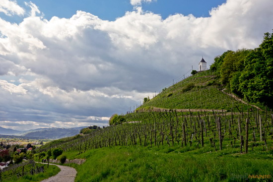 Koala cestuje: Slovinsko 1. díl (Maribor a Lublaň)