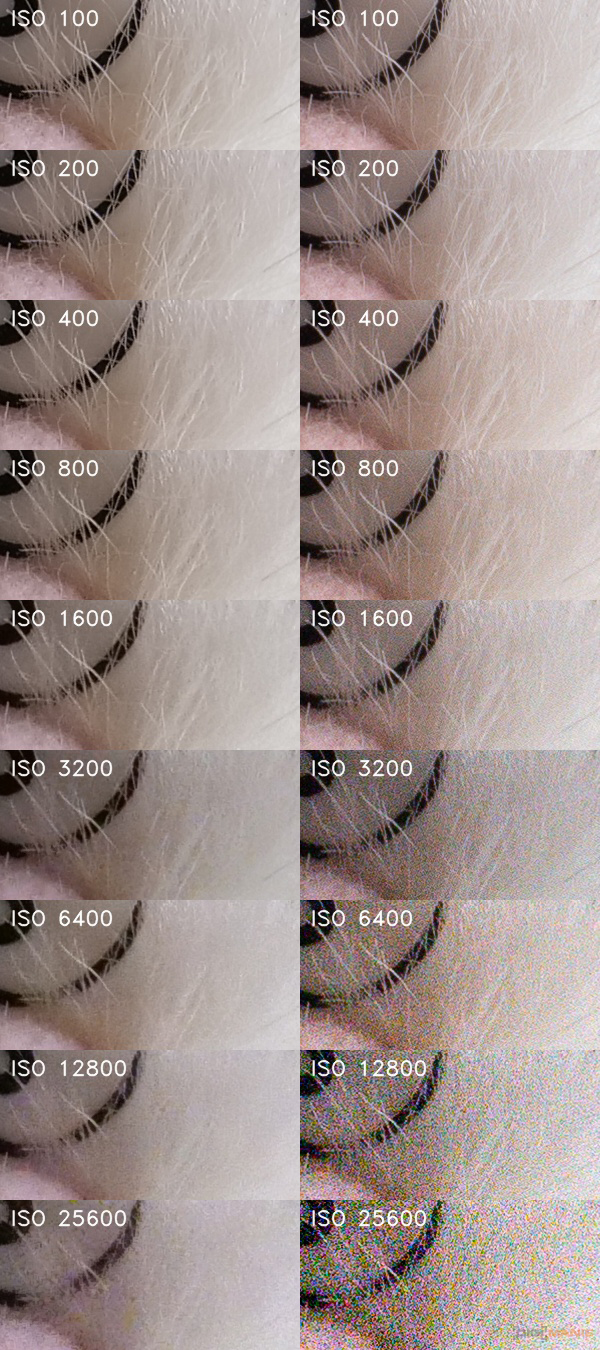 Panasonic Lumix GH5 II: nejen pro vloggery