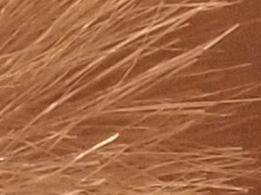 Olympus PEN E-PL2: PEN počtvrté a zase lépe