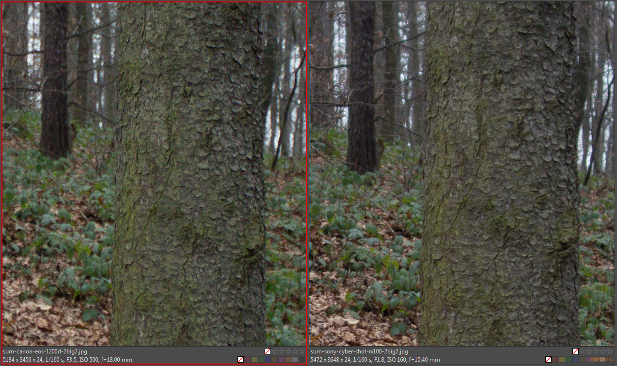 DSLR vs kompakt: Canon EOS 1200D s 18-55mm, Sony RX100