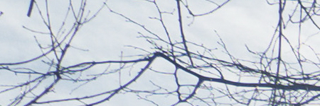 Panasonic Lumix G Vario 12-32mm f/3.5-5.6 ASPH. / MEGA O.I.S.