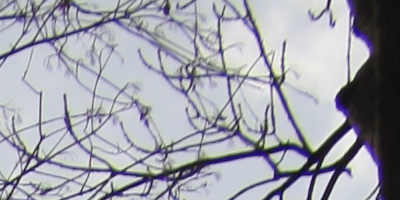 Samyang 35mm F1.4 AS UMC (pro Canon)