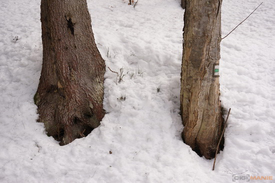 Sony NEX-6: pan dlouho očekávaný