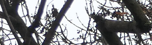 Panasonic Lumix LX15: noční borec