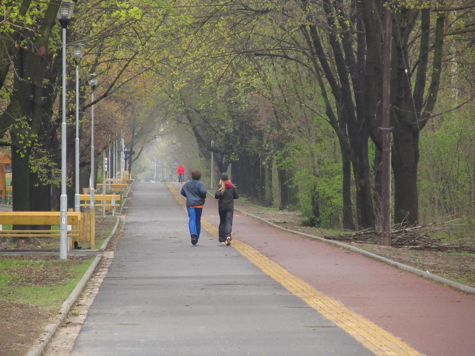 Canon PowerShot SX130 IS: levný všeuměl