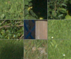 Panasonic Lumix G Vario 100-300mm F4-5,6