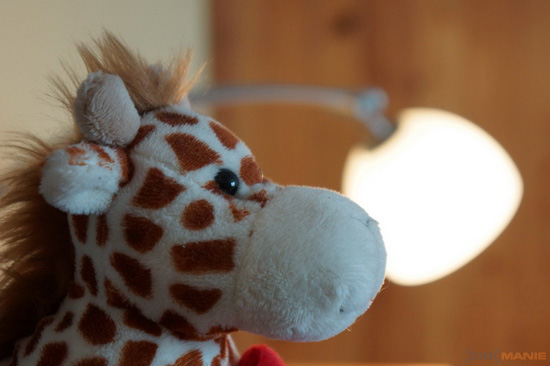 Sony NEX-7: správná (r)evoluce