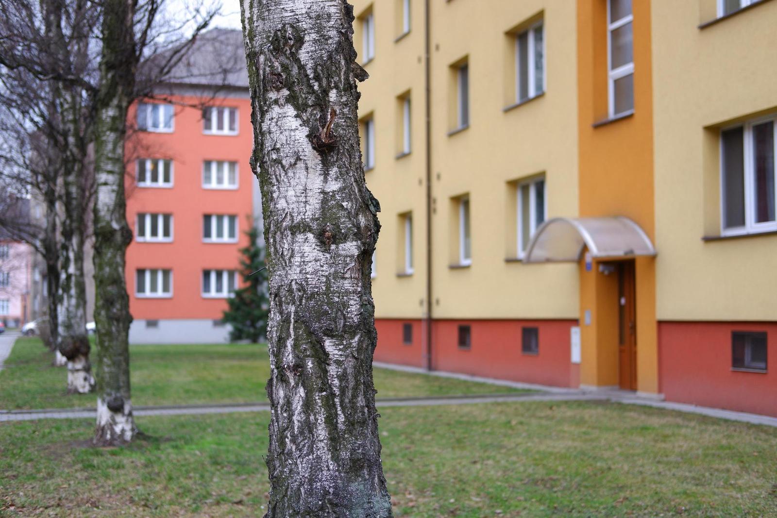 Fujinon XF 35mm F2 R WR