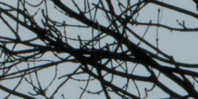 Sony SAL-70400G (70-400mm F4-5,6 SSM G)