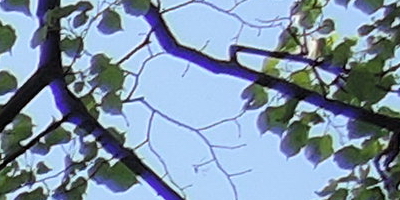 Nikon Coolpix P330: do vyšších sfér