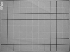 Panasonic Lumix G Vario 35-100mm F4-5.6 MEGA O.I.S.