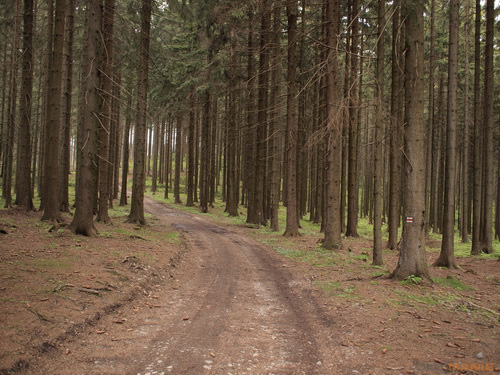 Olympus M.Zuiko Digital 17mm F2,8 Pancake